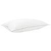 Term&eacute;kindexk&eacute;p: 3 / 12