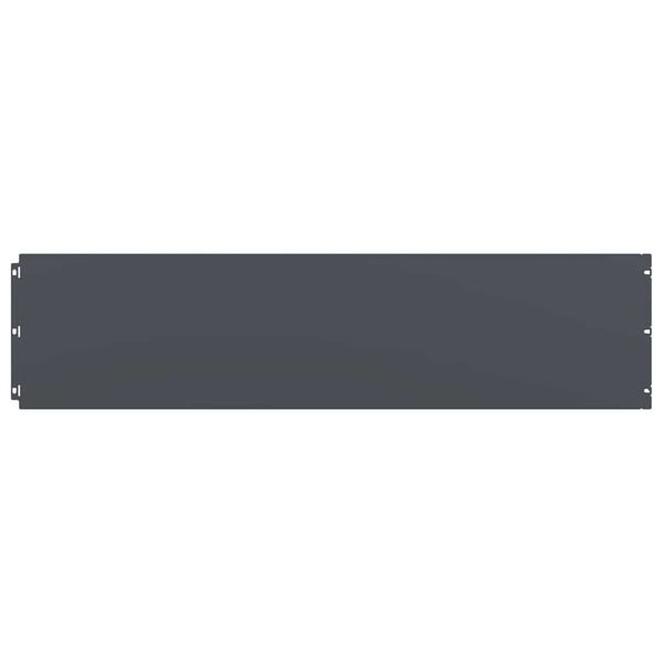 vidaXL 10 db antracit hidegen hengerelt ac&eacute;l gyepszeg&eacute;lyek 25x103 cm