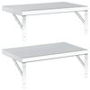 vidaXL 2 db ez&uuml;stsz&iacute;nű rozsdamentes ac&eacute;l fali polc 50 x 30 cm