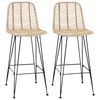 vidaXL B&aacute;rsz&eacute;k 2 db Term&eacute;szetes 44 x 52 x 111 cm Rattan &eacute;s Vas