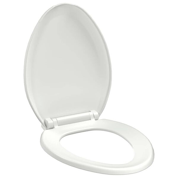 1 / 12. term&eacute;kk&eacute;p megjelen&iacute;t&eacute;se
