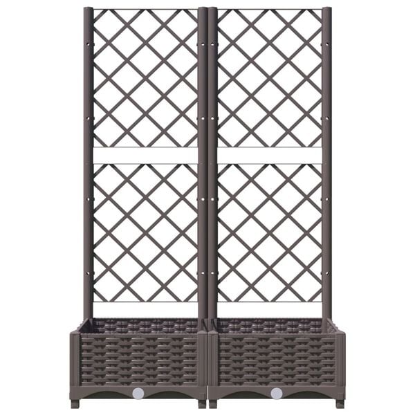 3 / 8. term&eacute;kk&eacute;p megjelen&iacute;t&eacute;se