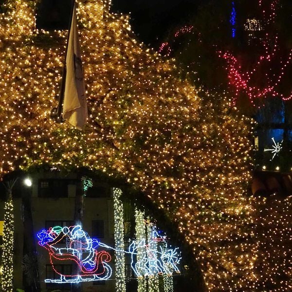 vidaXL Led H&aacute;l&oacute; S&ouml;t&eacute;tz&ouml;ld