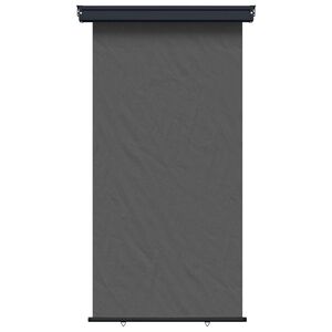 vidaXL Erk&eacute;ly oldals&oacute; napernyő 117 x 250 cm 100% poli&eacute;szter, vas, ac&eacute;l