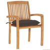 Term&eacute;kindexk&eacute;p: 3 / 13
