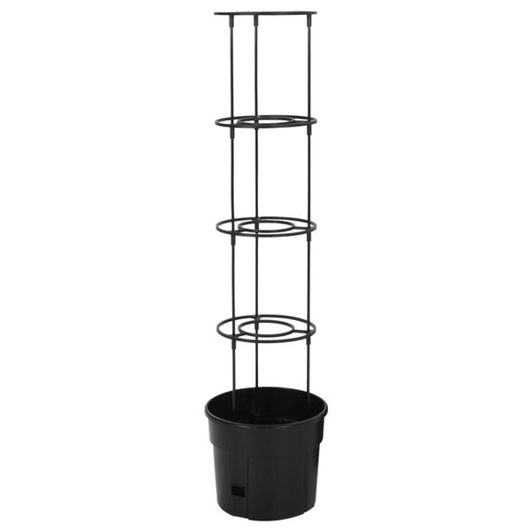 3 / 6. term&eacute;kk&eacute;p megjelen&iacute;t&eacute;se