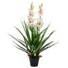 vidaXL z&ouml;ld, cserepes műcs&oacute;nakorchidea 100 cm