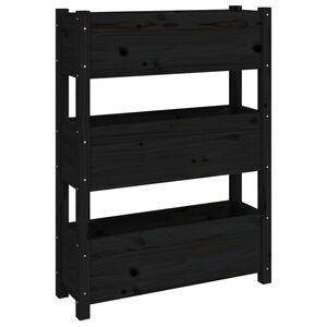 vidaXL fekete t&ouml;m&ouml;r fenyő n&ouml;v&eacute;nytart&oacute; 77x25x104,5 cm