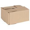 vidaXL Hajthat&oacute; doboz 50 db Term&eacute;szetes 20 x 15 x 10 cm Karton