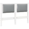 White_and_light_grey