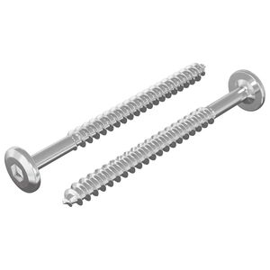 vidaXL Fa Csavarok 2 db Ez&uuml;st M6 x 70 mm Ac&eacute;l
