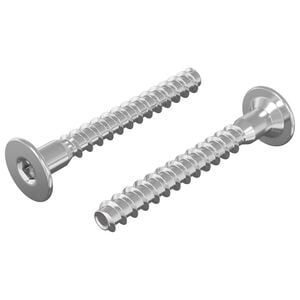 vidaXL Confirmat csavarok 2 db Ez&uuml;st &Oslash;5 x 40 mm F&eacute;m