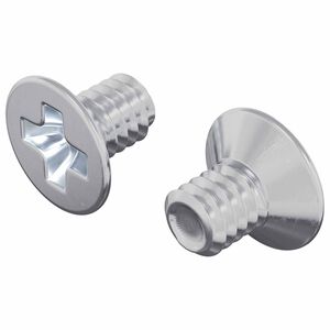 vidaXL S&uuml;llyesztett fejű csavarok 2 db Ez&uuml;st M4 x 6 mm Ac&eacute;l