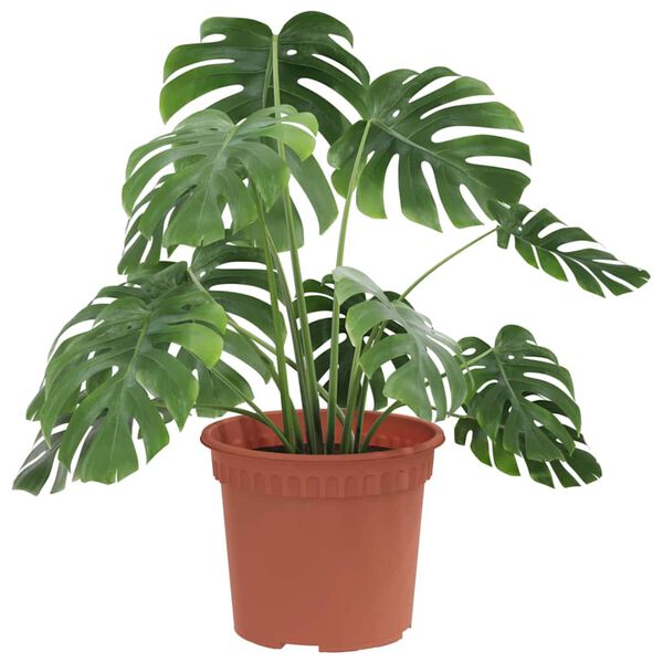 vidaXL Kerek Vir&aacute;gcser&eacute;p 24 pcs T&eacute;gla V&ouml;r&ouml;s &Oslash; 12,5 x 10 cm Műanyag