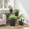 Term&eacute;kindexk&eacute;p: 4 / 12