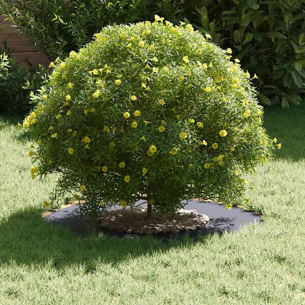 vidaXL Alkalmas lapos fa gyűrűh&ouml;z Antracit &Oslash;30 / 60 cm Ac&eacute;l