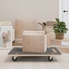vidaXL 2 db n&eacute;gysz&ouml;gletű sz&aacute;ll&iacute;t&oacute;kocsi 250 kg 80 x 55 x 11,5 cm