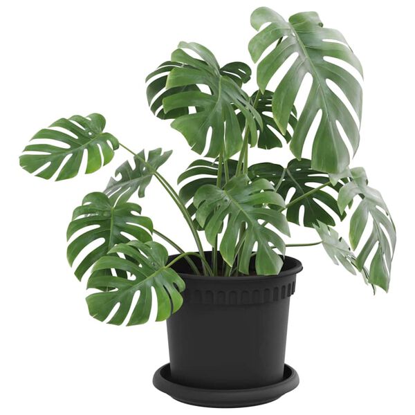 3 / 12. term&eacute;kk&eacute;p megjelen&iacute;t&eacute;se