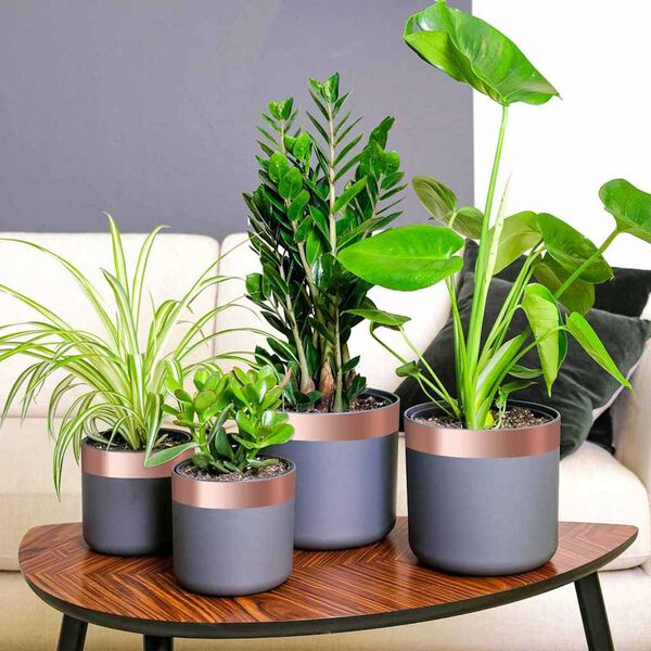 vidaXL Réz szalag Réz 2000 x 5 cm Réz