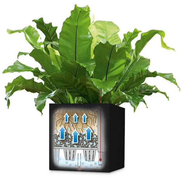 LECHUZA Canto Color Square 40 ALL-IN-ONE grafitszürke virágtartó