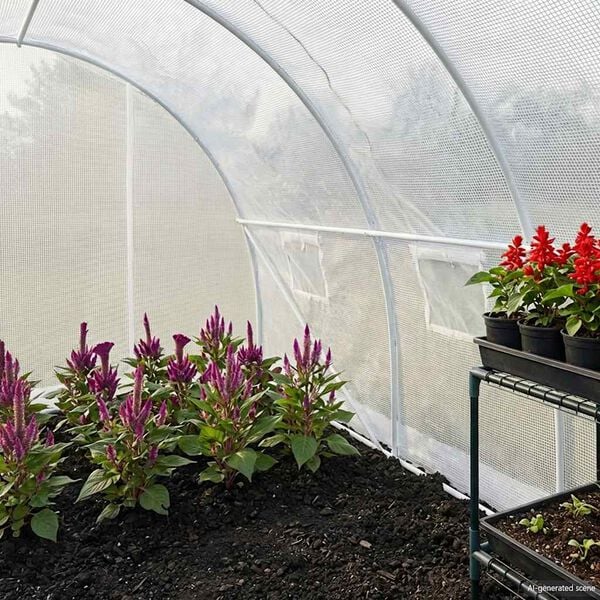 2 / 12. term&eacute;kk&eacute;p megjelen&iacute;t&eacute;se