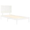 Term&eacute;kindexk&eacute;p: 4 / 6