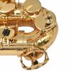 vidaXL Arany lakkal bevont s&aacute;rgar&eacute;z Alt szaxofon