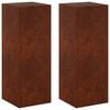 vidaXL N&ouml;v&eacute;ny&aacute;llv&aacute;ny 2 pcs Rozsd&aacute;s 30 x 30 x 80 cm Időj&aacute;r&aacute;s&aacute;ll&oacute; Ac&eacute;l