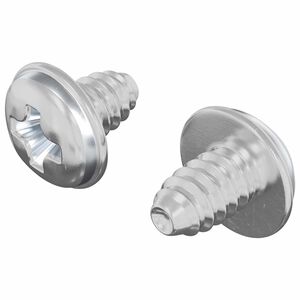 vidaXL Z&aacute;rcsavarok 2 db Ez&uuml;st M4 x 5 mm Vas