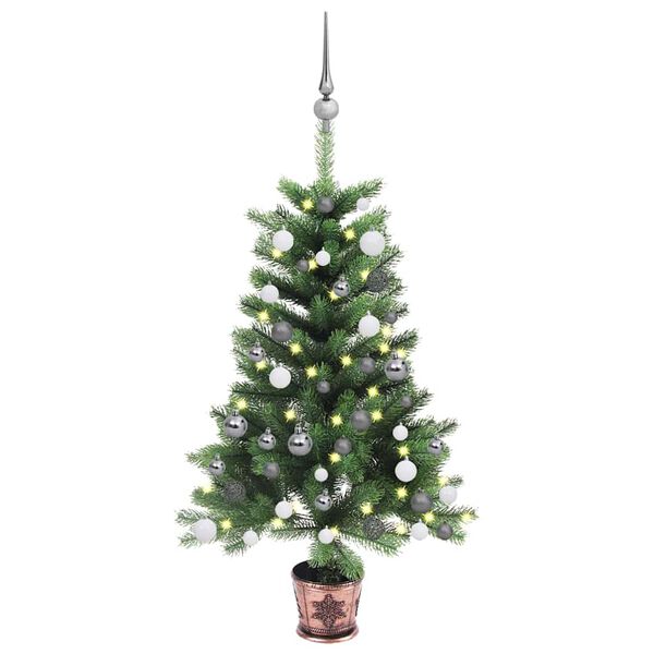 1 / 12. term&eacute;kk&eacute;p megjelen&iacute;t&eacute;se