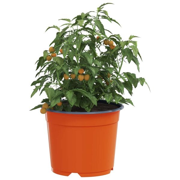 3 / 11. term&eacute;kk&eacute;p megjelen&iacute;t&eacute;se