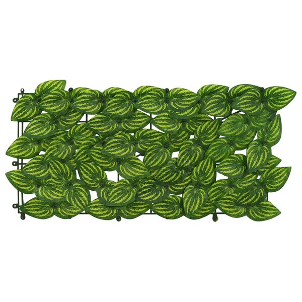 3 / 6. term&eacute;kk&eacute;p megjelen&iacute;t&eacute;se