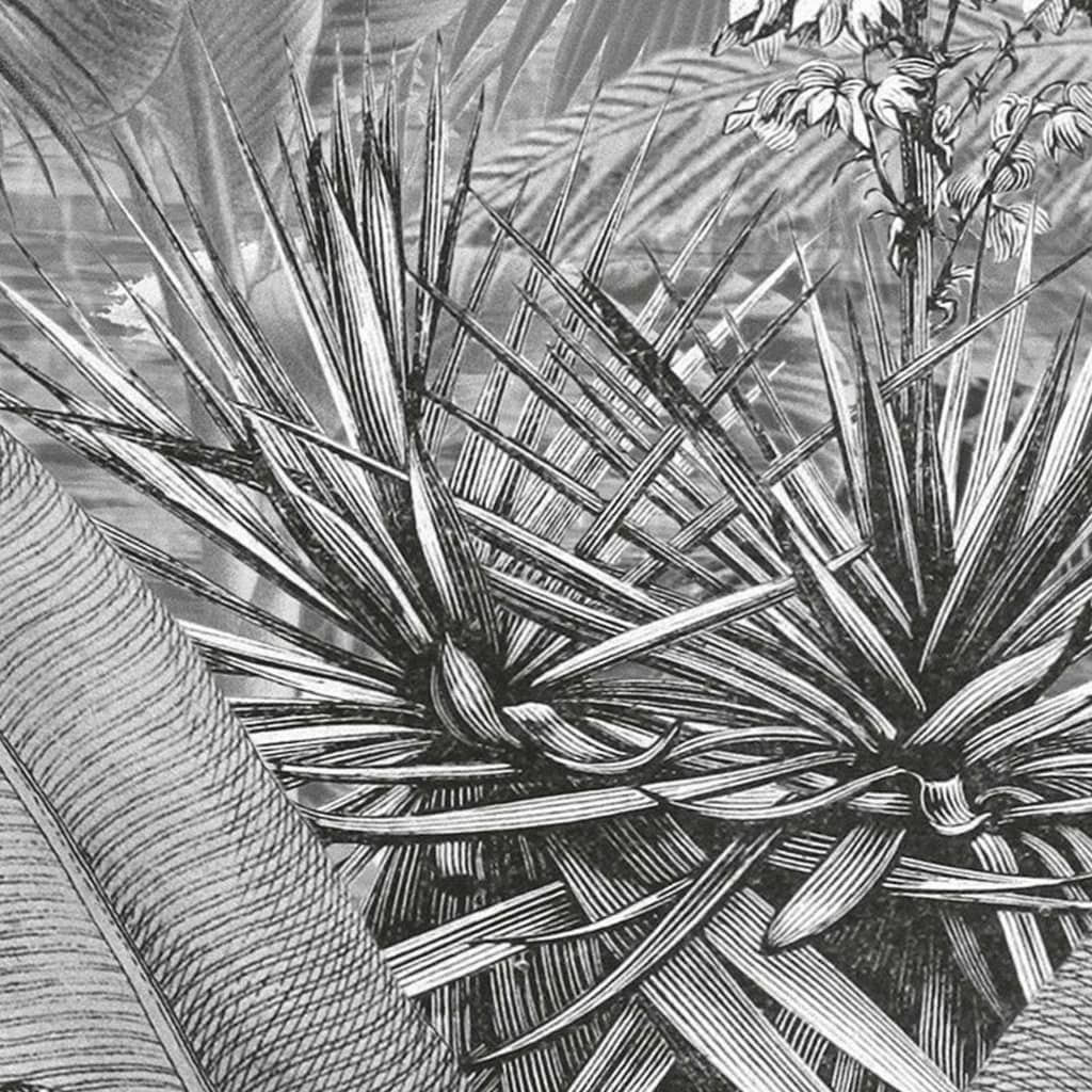 Komar Amazónia fekete-fehér fényképfreskó 400 x 250 cm