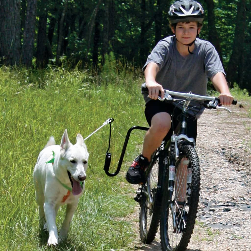 SPRINGER kutya edzőkészlet kerékpárhoz