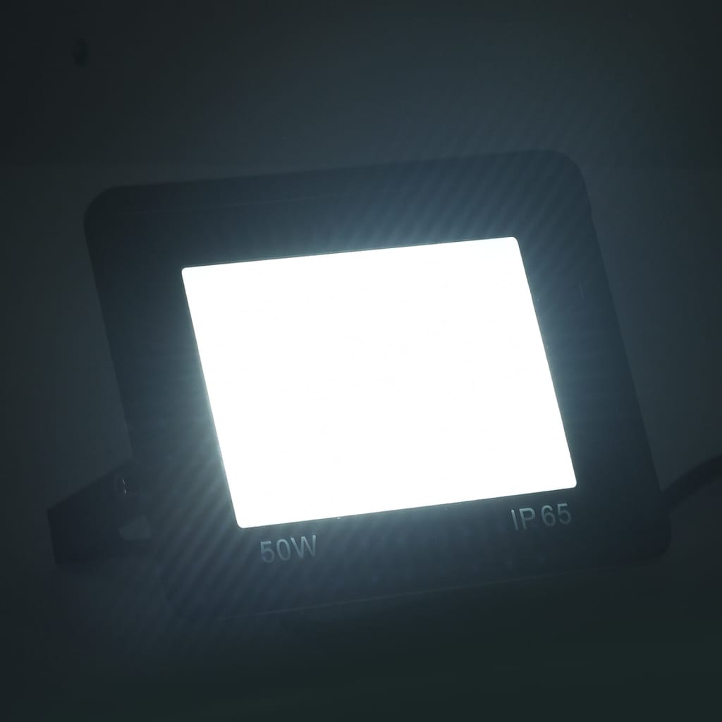 vidaXL 2 db hideg fehér fényű LED-es reflektor 50 W