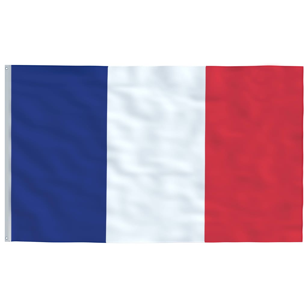 vidaXL francia zászló 90 x 150 cm