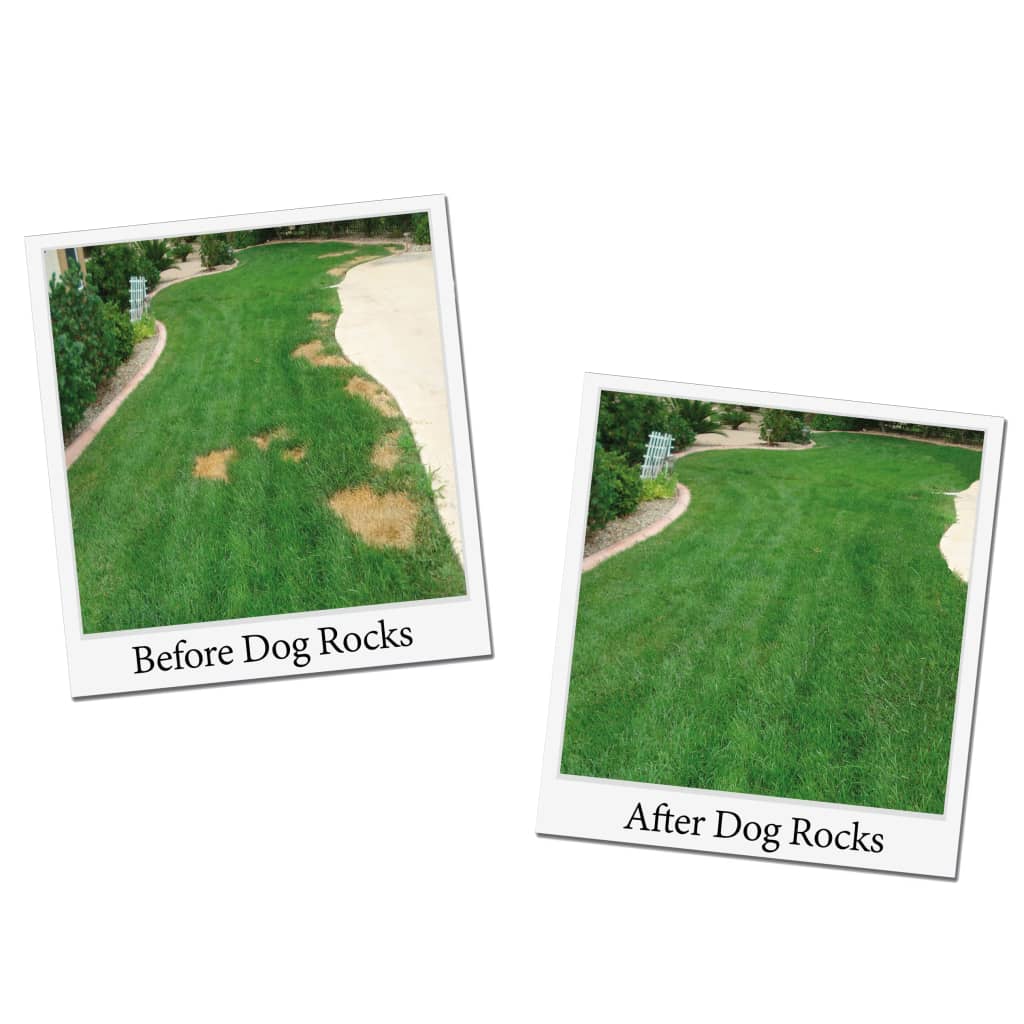 Dog Rocks vizeletfoltok elleni gyepvédő kőzet
