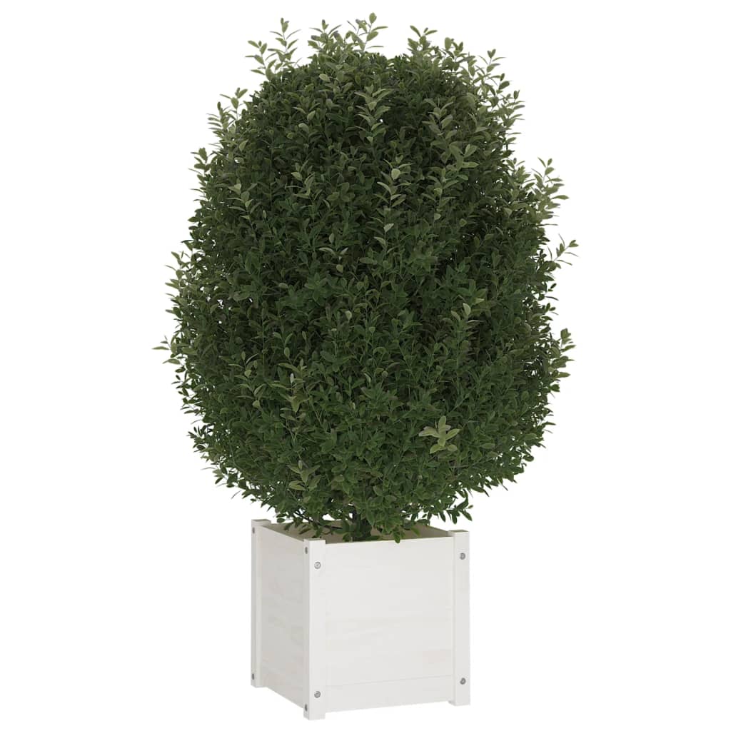 vidaXL 2 db fehér tömör fenyőfa kerti virágtartó 40 x 40 x 40 cm