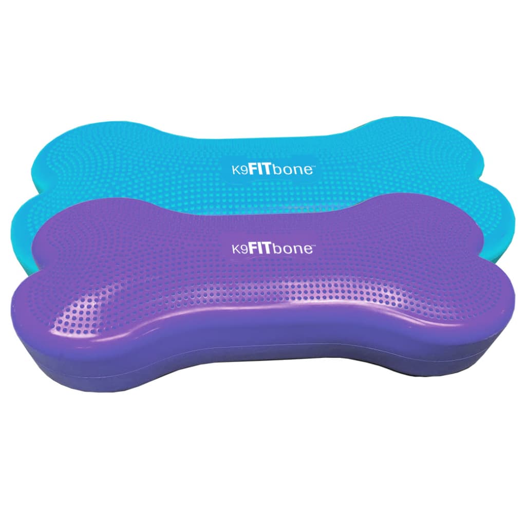 FitPAWS Giant K9FITbone vízszínű kisállat-egyensúlyozó platform