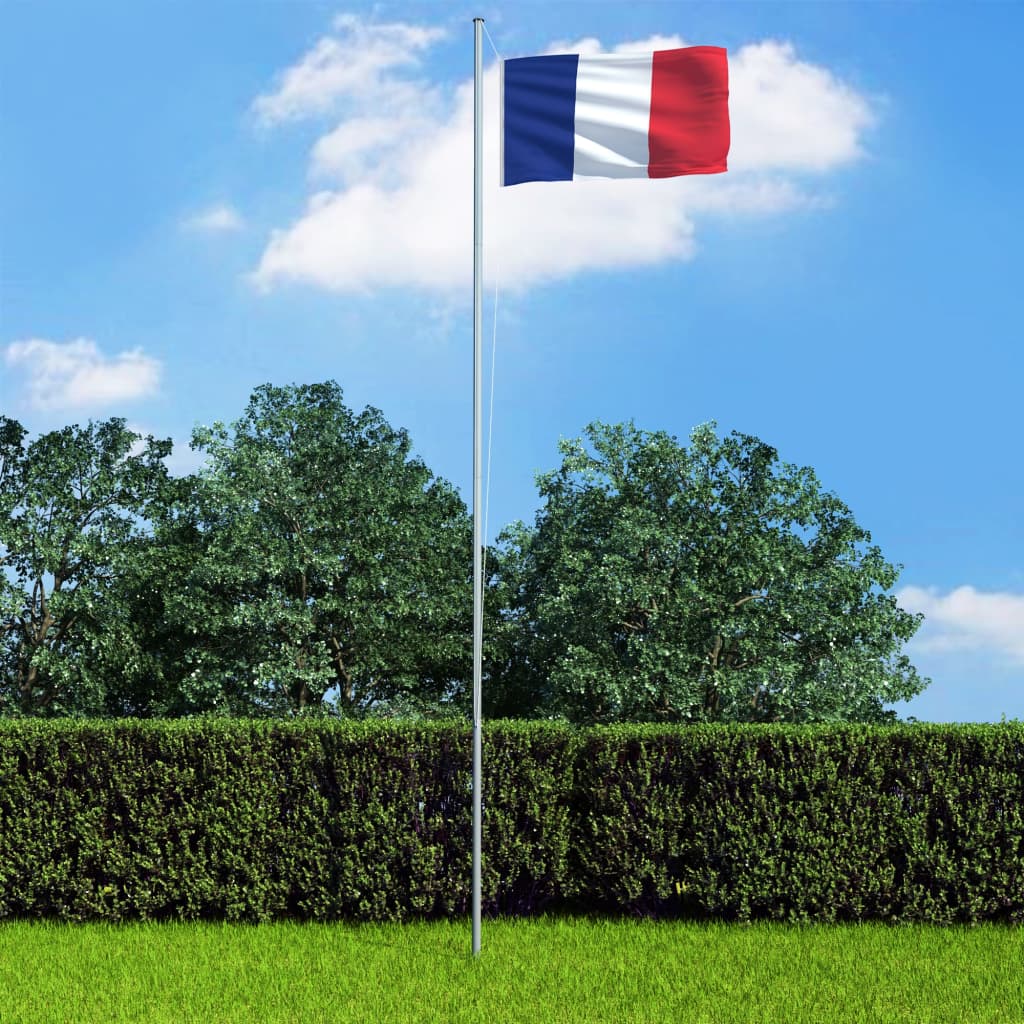 vidaXL francia zászló alumíniumrúddal 4 m
