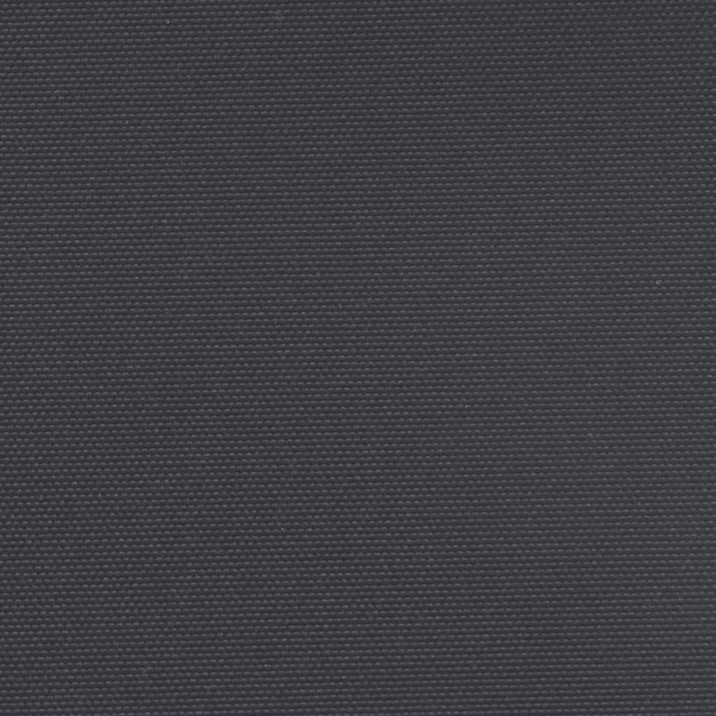 vidaXL fekete behúzható oldalsó napellenző 220 x 1000 cm