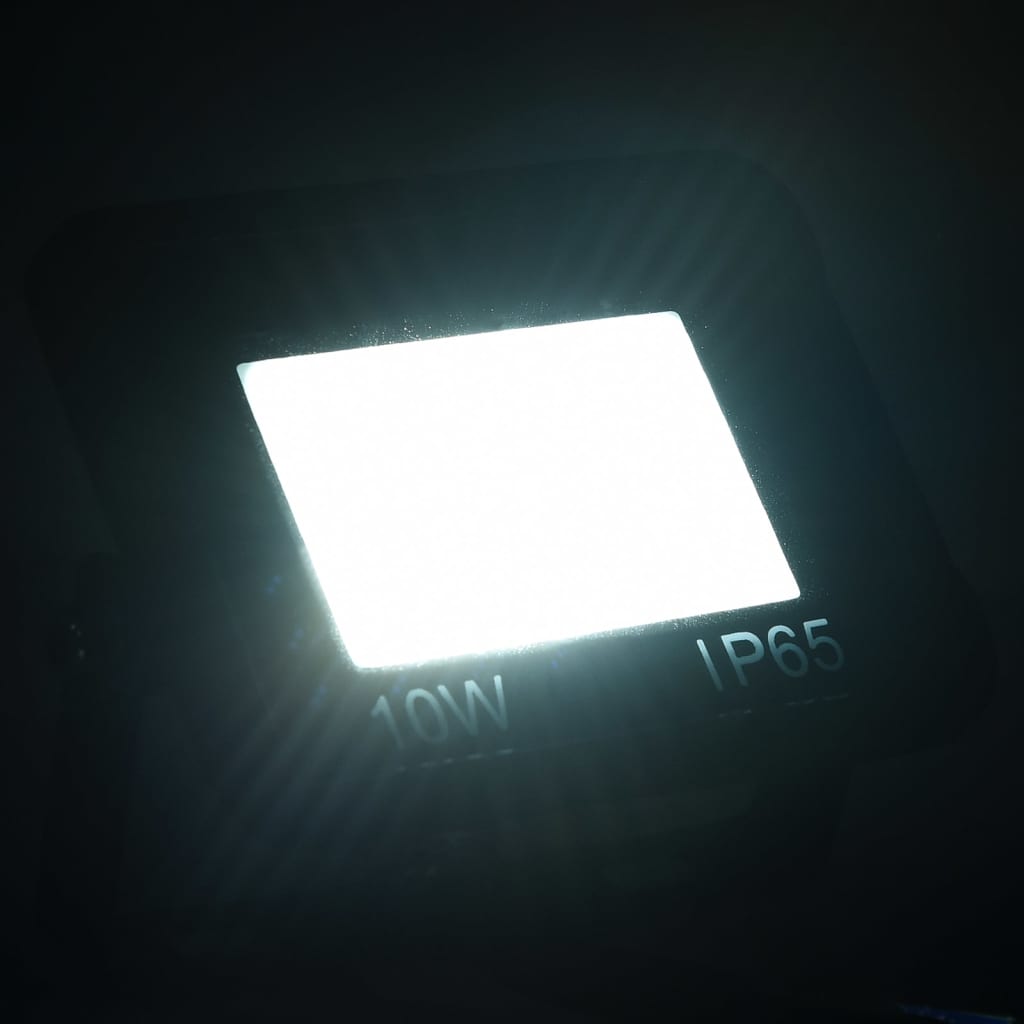 vidaXL hideg fehér fényű LED reflektor 10 W