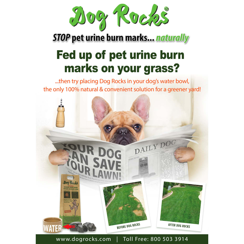 Dog Rocks vizeletfoltok elleni gyepvédő kőzet